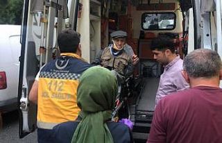 Kamyonetin çarptığı yaya yaralandı