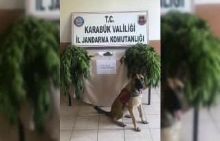 Karabük’te uyuşturucu operasyonu