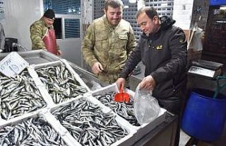 Karadeniz’de balık fiyatları