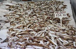 Karadeniz’de mezgit bolluğu