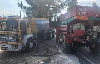 Kaş’ta arazi yangını, çam ağaçları yandı