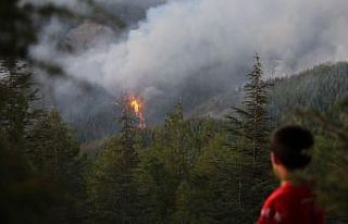 Kaş’taki orman yangınında hızlı müdahale büyümeyi...