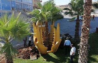 Kavşak çalışmasında ağaç titizliği