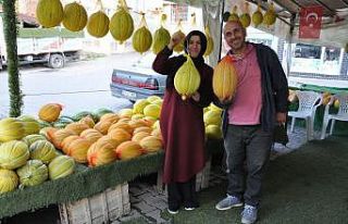 Kavunun ömrü özel file ile uzuyor