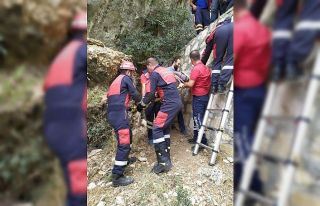 Kayalıklardan düşen şahsı itfaiye ekipleri kurtardı