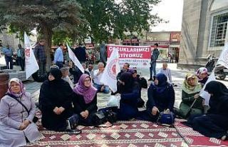 Kayserili annelerden, Diyarbakır’da eylem yapan...