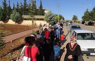 Kilis’te 9 aylık iş için uzun kuyruklar oluştu