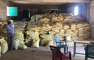 Kilis’te tonlarca sahte gübre ele geçirildi