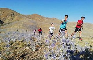 Kış sporları için karsız dağlarda antrenman