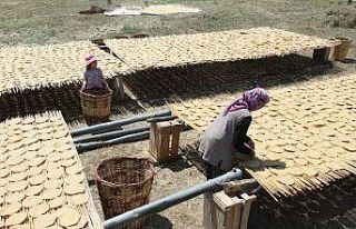 Konya’da asırlık gelenek ’tarhana’ mesaisi...