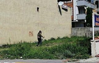 Körfez’de ilaçlama ve ot biçme çalışmaları...