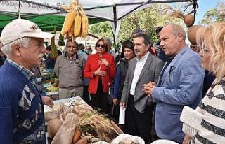 Kozkayı’da şenlik coşkusu