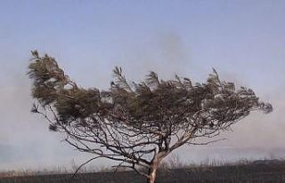 Küresel ısınma ve iklim değişikliği medyanın...