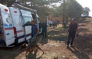 Kütahya’da yaşlı kadın ormanda kayboldu