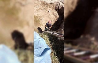Kuyuya düşen köpeği itfaiye kurtardı