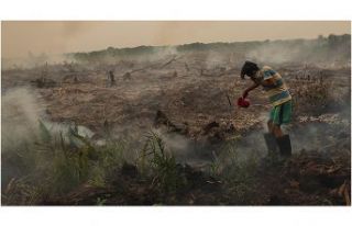 Malezya'da hava kirliliği nedeniyle 400'den...