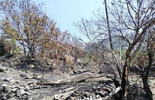 Manavgat’ta evleri yanan aileye, Antalya Valiliğinden...