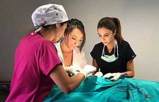 Manisalılar estetik ameliyatları sevdi