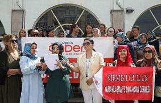 Mersinli kadınlardan, Diyarbakırlı kadınlara destek