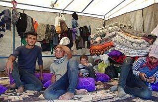 Mevsimlik işçilerin çadırı Kaddafi’nin ünlü...