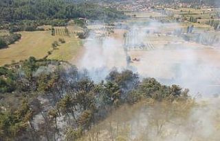 Muğla’da orman yangını