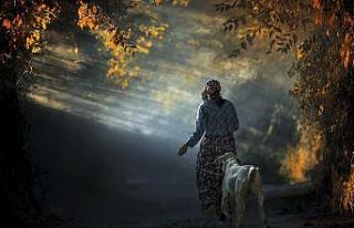 Muğla’da yaşamı anlatan en iyi kare belli oldu