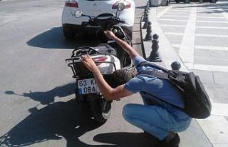 Muhabirin kedi ile zor anları