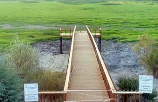 Nallıhan Kuş Cenneti’nde iskele uzatma işleminde...