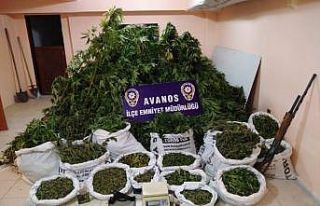 Nevşehir’de çuvallar dolusu esrar ele geçirildi