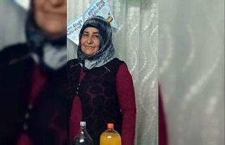 Niğde’de hayvan otlatma kavgası: 2 ölü, 1 yaralı