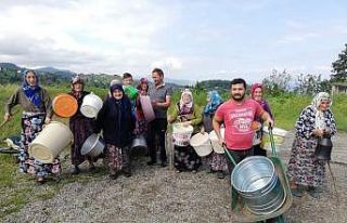 Ninelerin ’su’ isyanı