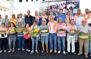 Olten Filarmoni Orkestrası, Bağbozumu için sahne...