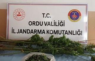 Ordu’da uyuşturucuya geçit yok