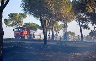 Orman yangınlarıyla mücadelede yeni dönem