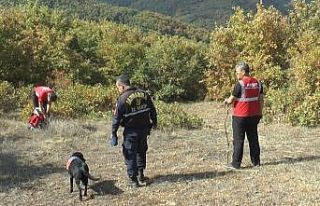 Ormana çıra toplamaya çıktı kendisinden bir daha...