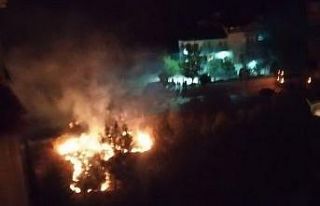 Ot yangını ormana sıçramadan söndürüldü