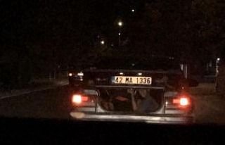 Otomobilin bagajından sürücüleri selamladılar