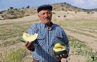 (ÖZEL) Başkentin kavun merkezinden kötü haber