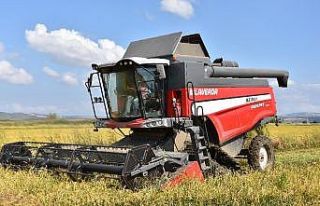 (Özel Haber) Dünyaca ünlü Gönen baldosunda hasat...