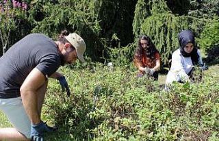 (Özel) Üniversiteliler hem sosyalleşti, hem para...