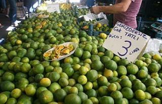 Pazarda domates 2, salatalık 1.5, taze fasulye 6...