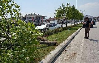 Refüje çıkan otomobil ağaca çarptı: 1 çocuk...