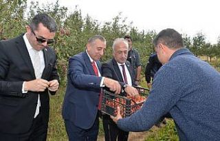 Rektör Çomaklı hükümlülerin yetiştirdiği ürünleri...