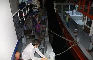 Rizeli balıkçılar umduğunu bulamadı