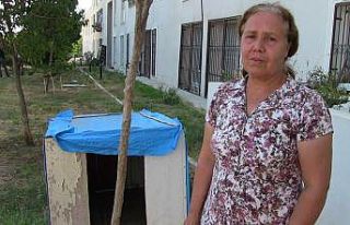 "Rodi"yi ikinci kez çaldılar