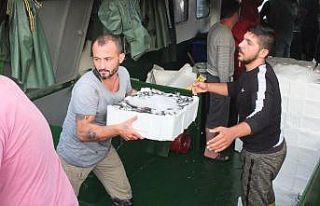 Rüzgar durdu, balık bollaştı