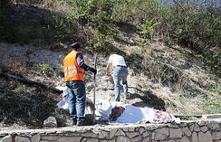 Safranbolu’da bulunan aslan figürlü taş polisi...