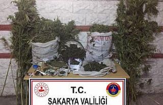 Sakarya’da jandarma operasyonunda 25 kilo esrar...