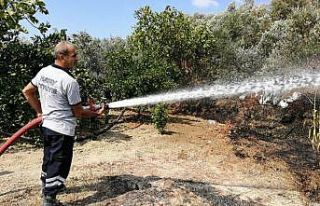 Samandağ’da bahçe yangını