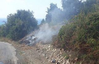 Samandağ’da kuru ot yangını korkuttu